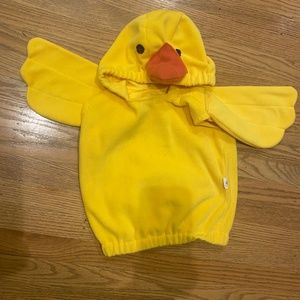 Duckling costume